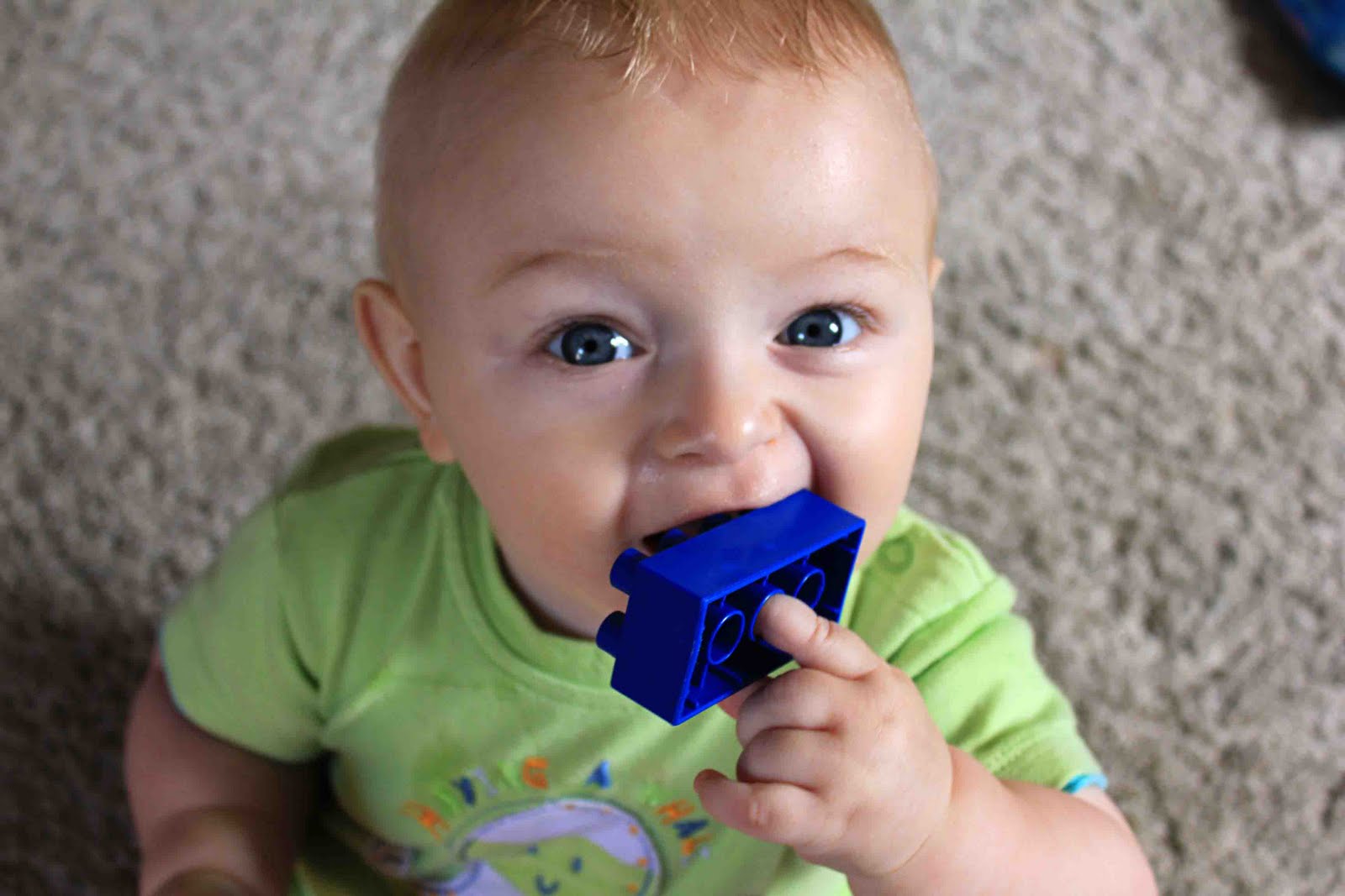 Baby eating a Lego block