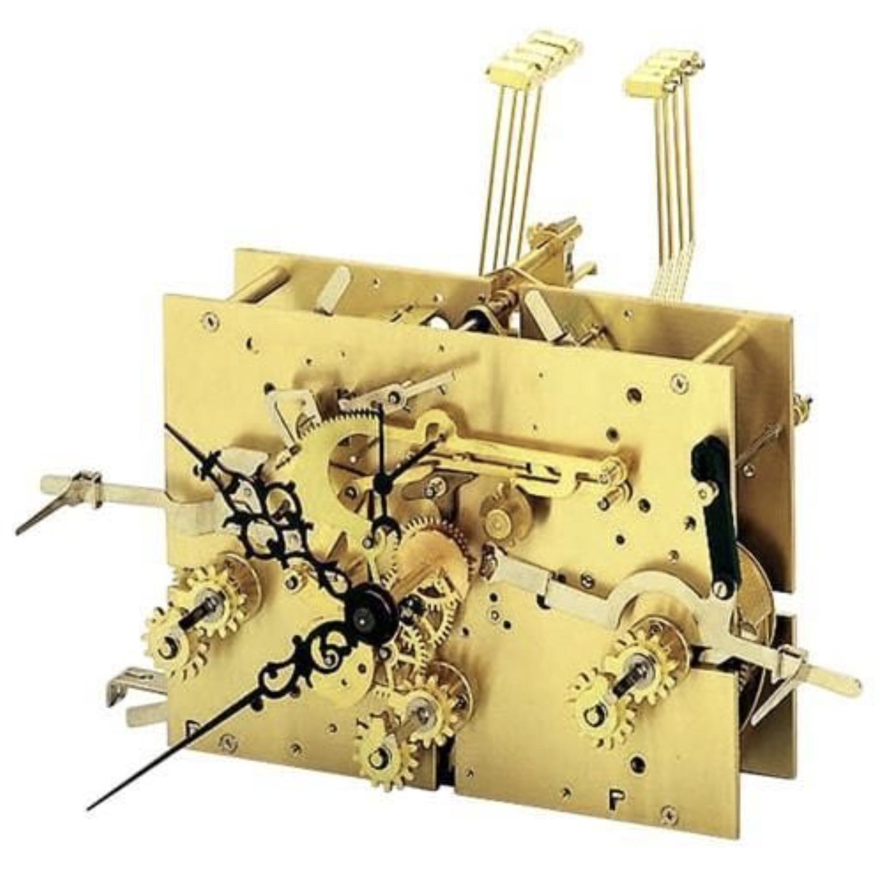 A chiming movement has a third power source, set of gears, and a larger set of hammers in the back

