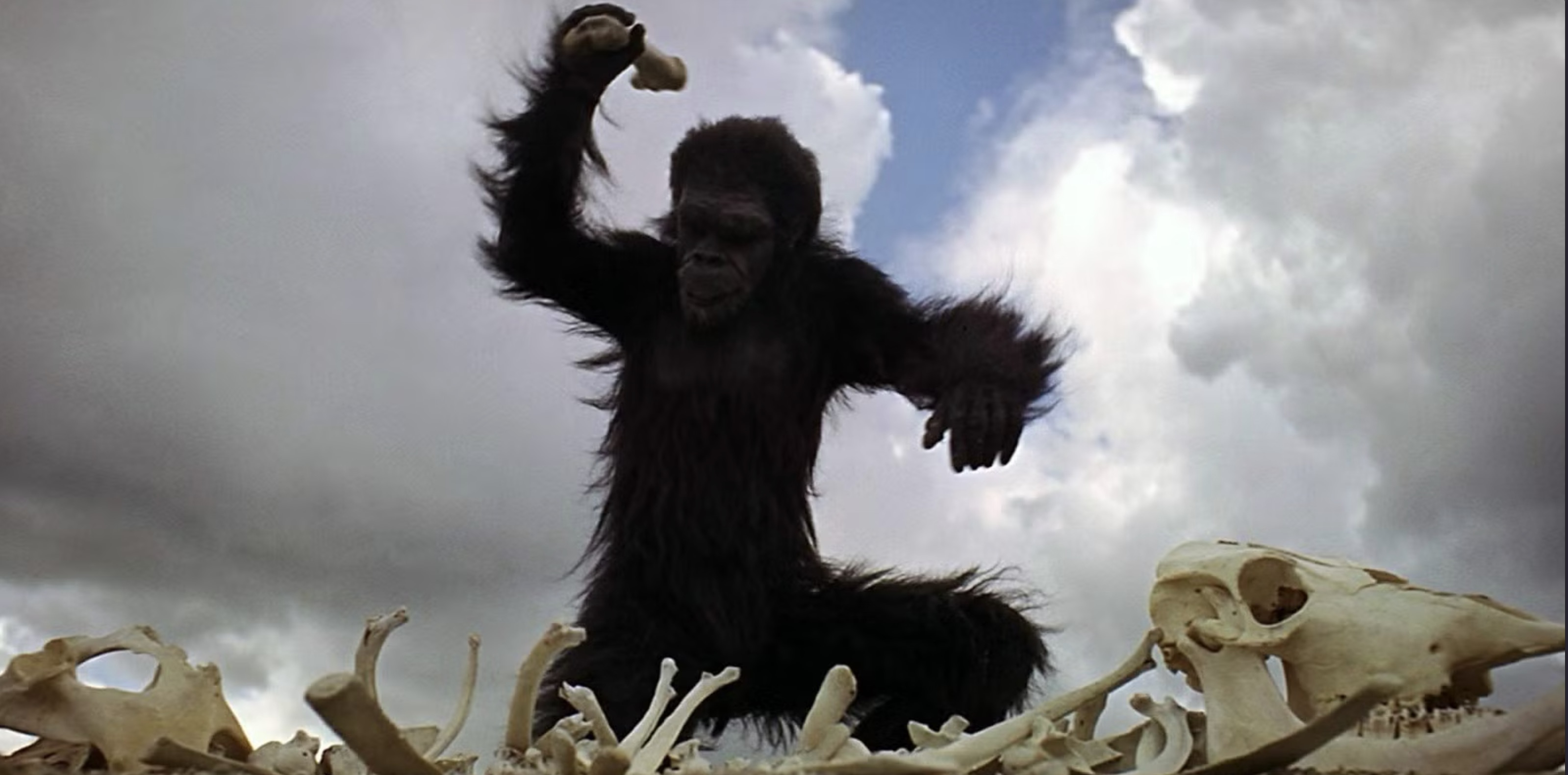 Ape from the opening of 2001 standing over an animal skeleton, and waving a bone
