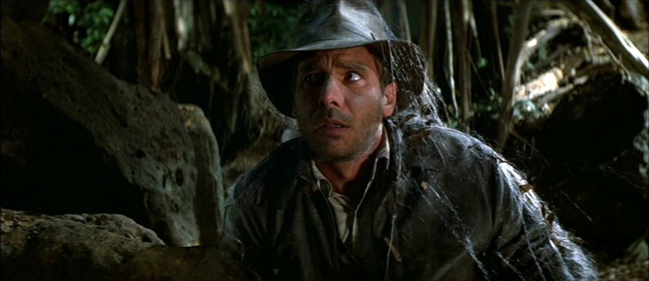 Indiana Jones
covered in cobwebs,
looking frustrated.
