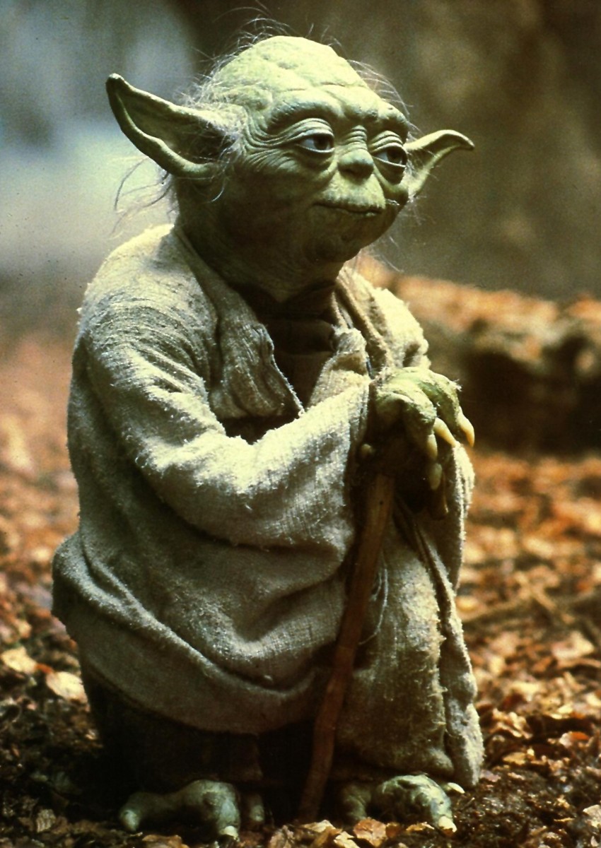 Yoda leans on a walking stick among leaves